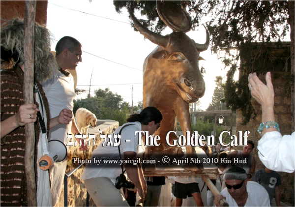   ,   ,   The Golden Calf 2010