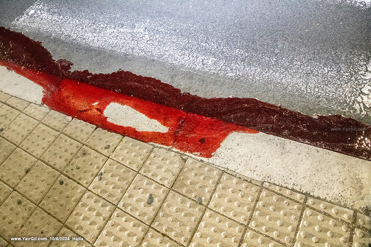 דם חזירי בר מעורב במים זורם ברחוב טשרניחובסקי בחיפה